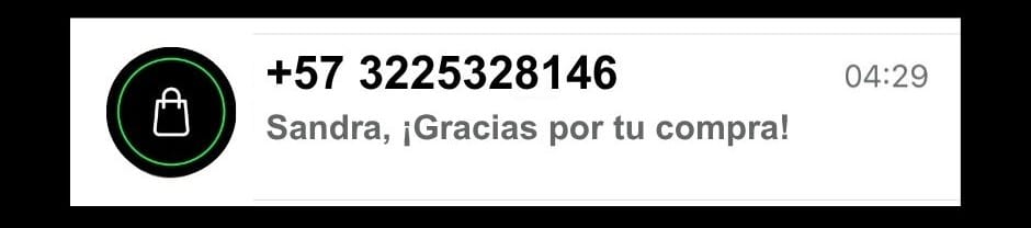 Logo Aliado Logístico